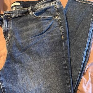 Lane Bryant skinny jeans